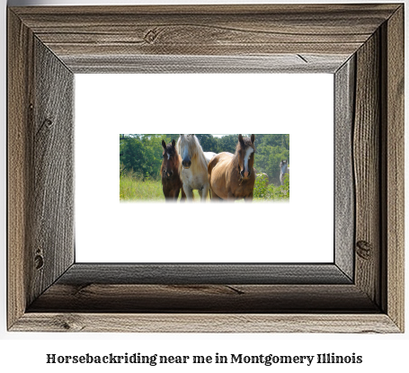 horseback riding near me in Montgomery, Illinois